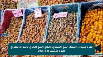 قفزة جديدة.. أسعار البلح السيوي وأنواع البلح الأخرى بأسواق مطروح اليوم الإثنين 18-8-2025